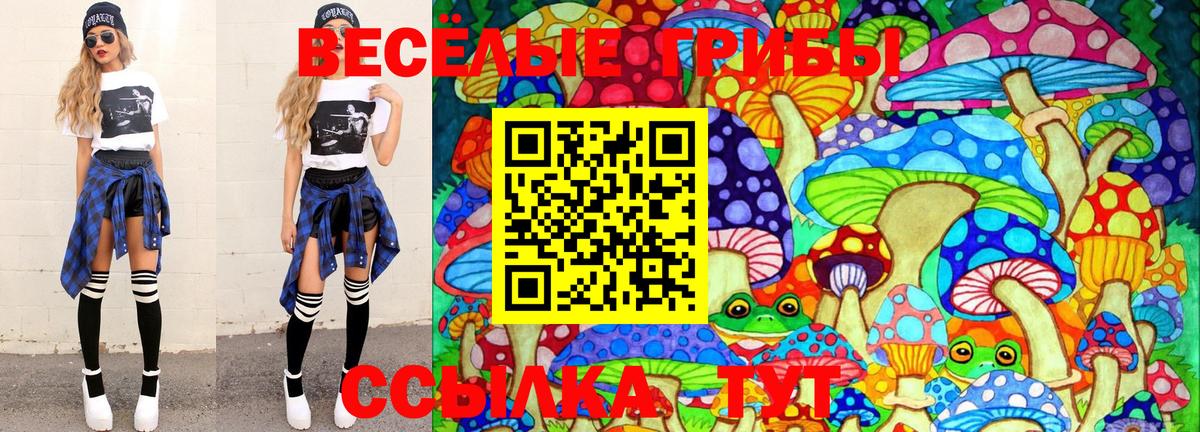 Альфа ПВП Рузаевка